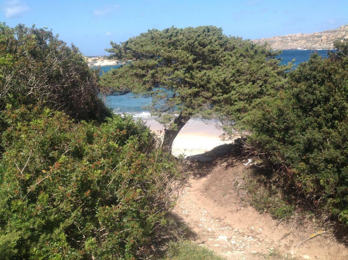 Stella Maris Apartman Santa Teresa Gallura Kültér fotó